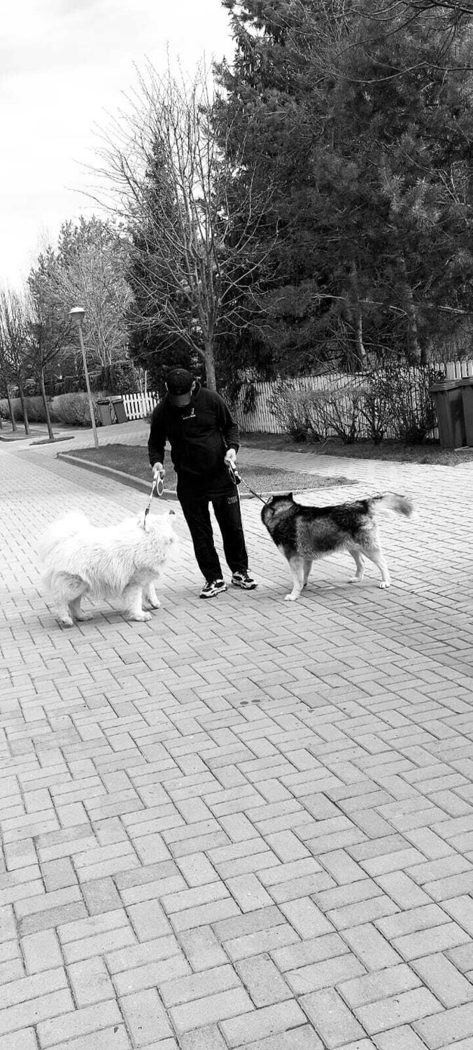 ���������� ������, ���� ������� �������, 35 ���, ������������ ��� ������, ����� � ���������