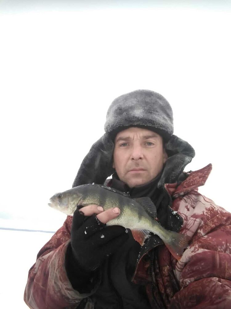 ���� 25714685 ������� �������, 45 ���, ���� ���������� � ���������