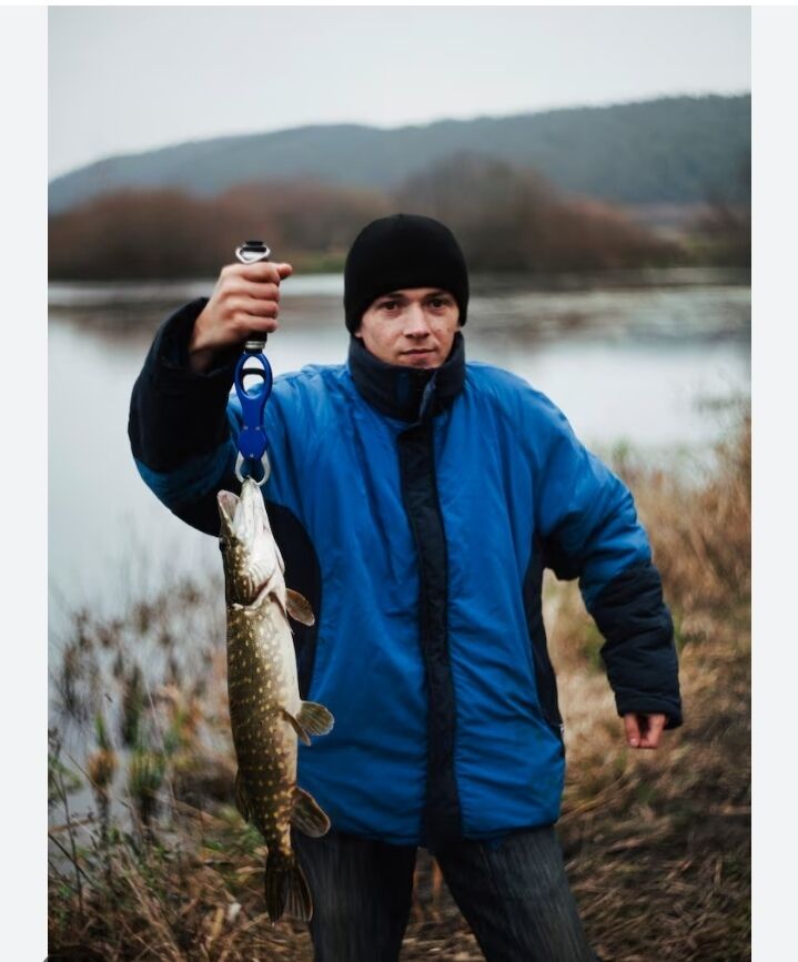 ���� 54915445 ������� ����, 45 ���, ���� ���������� � ������