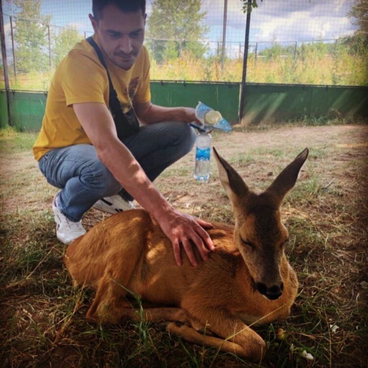 ���������� �����-���������, ���� ������� ����, 41 ���, ������������ ��� ������, ����� � ���������, c�������� ���������