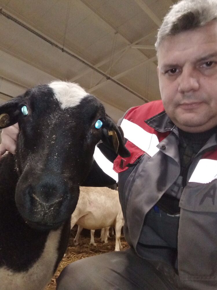 ���������� ��������, ���� ������� Dgggggsr, 78 ���, ������������ 