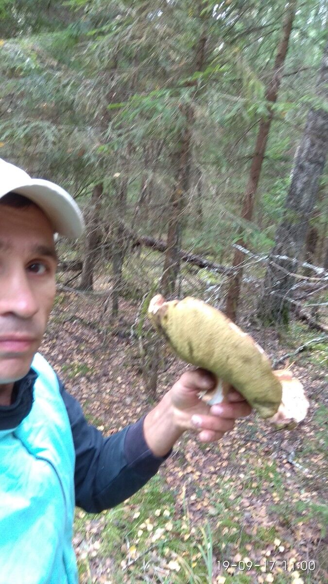 ���������� ������, ���� ������� Andrey, 44 ����, ������������ ��� ������