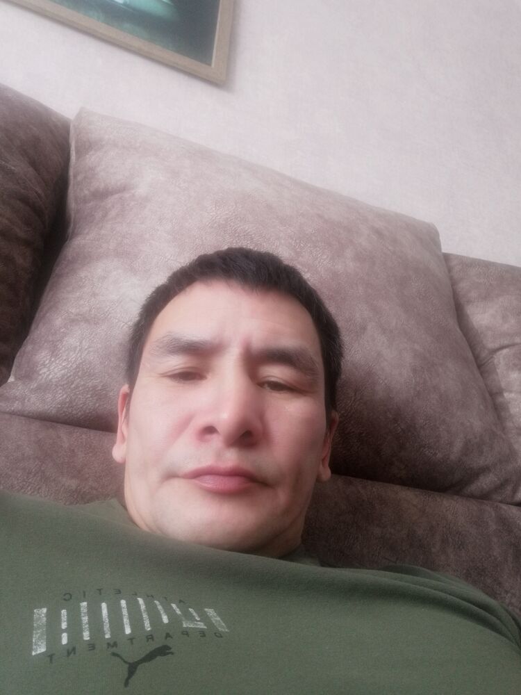  33231635  , 41 ,    