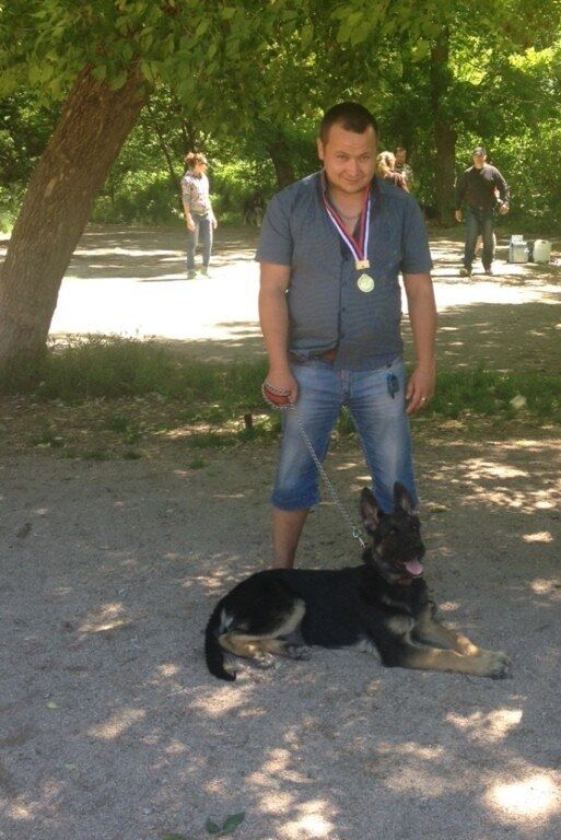 ���� 42760375 ������� �������, 38 ���, ���� ���������� � �����������