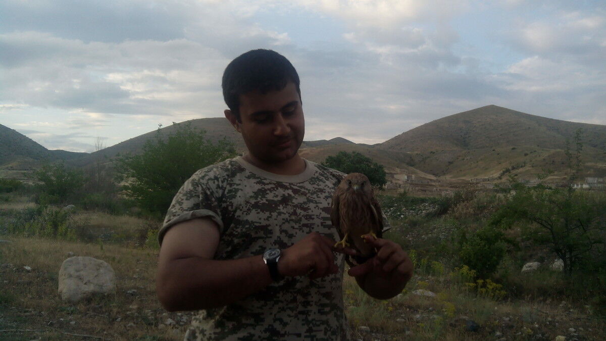  ,   Davo the, 38 ,   ,   , c 