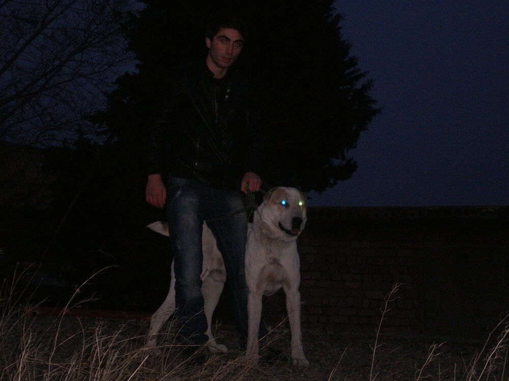  5472375  Temo0092, 33 ,    