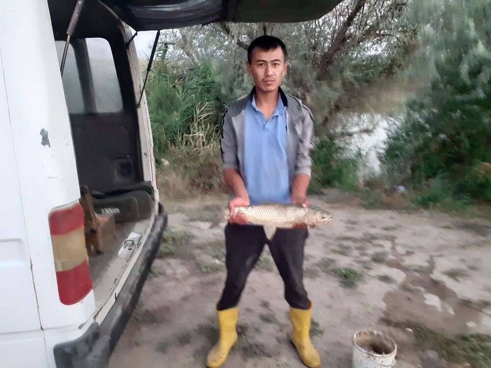 ���� 17871245 ������� ������, 37 ���, ���� ���������� � ������