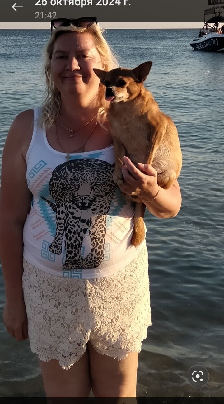 ���� 56148435 ������� �����, 56 ���, ���� ���������� � ���������