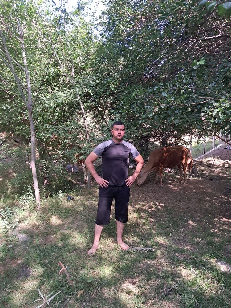  48954395  Elyor, 37 ,    -