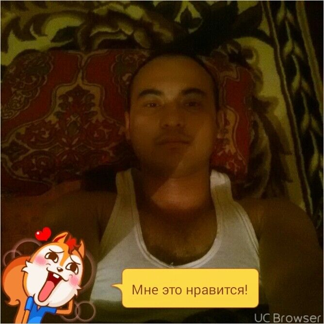  10806555  , 33 ,    