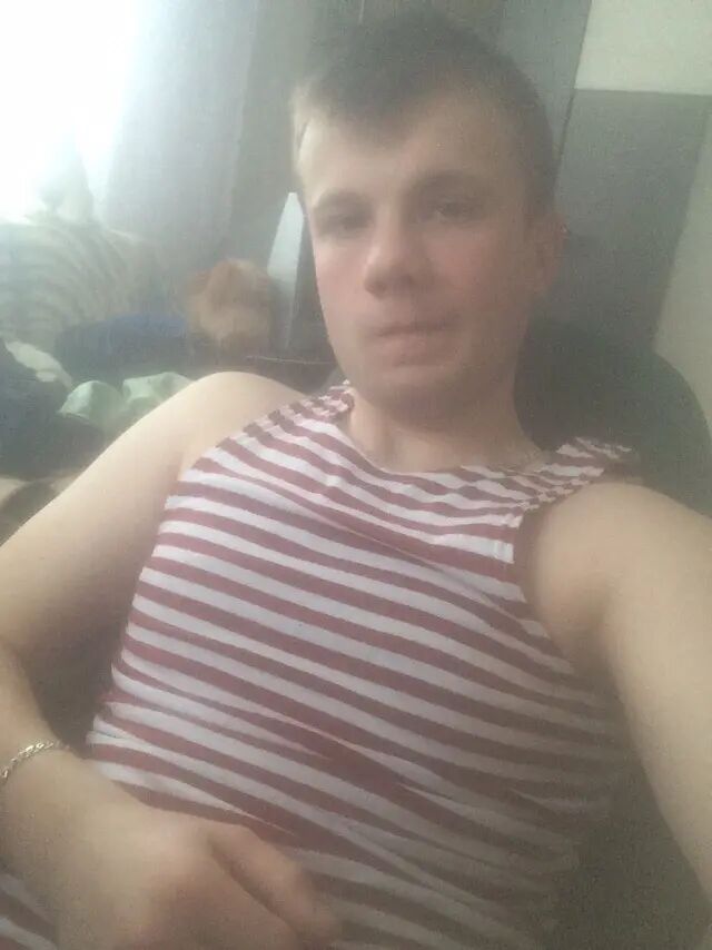  28364555  , 31 ,    