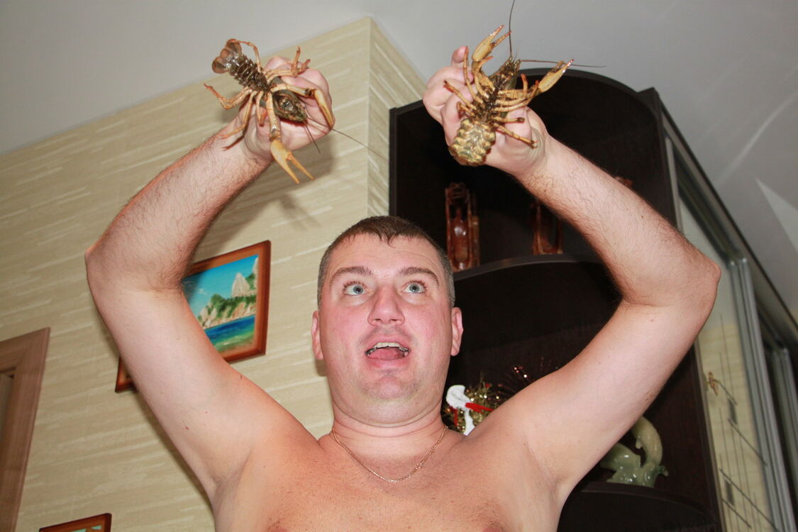 ���������� �����-���������, ���� ������� ������, 50 ���, ������������ ��� ������, ����� � ���������, c�������� ���������