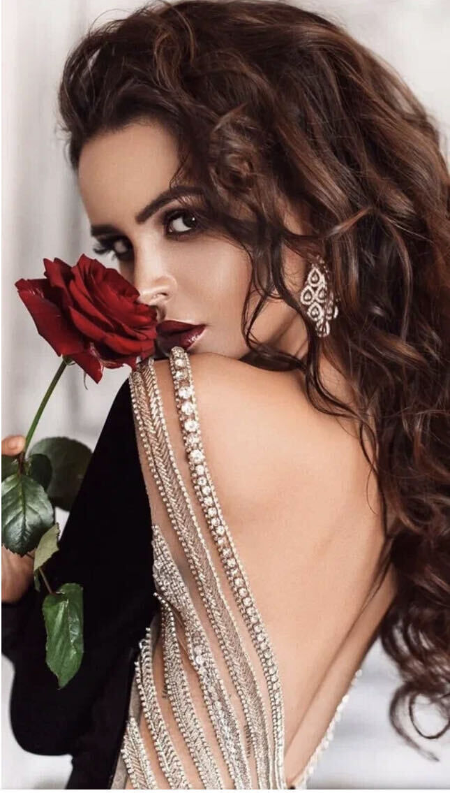 ���� 37829625 ������� ����, 43 ����, ���� ���������� � ������