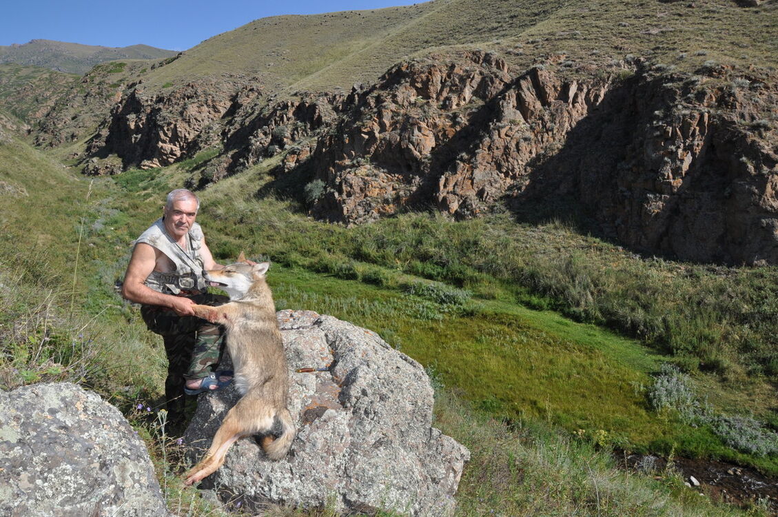 ���������� ������, ���� ������� �������, 61 ���, ������������ ��� ����� � ���������, c�������� ���������