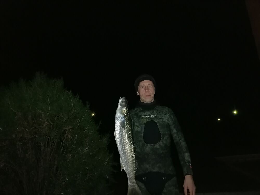 ���������� �����, ���� ������� �������, 37 ���, ������������ ��� ����� � ���������, c�������� ���������, ���������