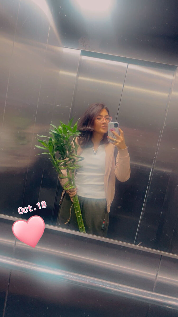 ���������� �������, ���� ������� Rashida, 39 ���, ������������ ��� ������, ����� � ���������, c�������� ���������