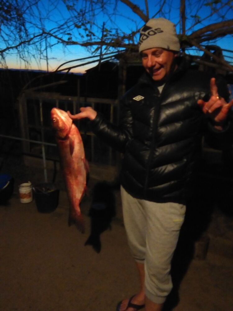  ,   Aleks, 53 ,   ,   , c 