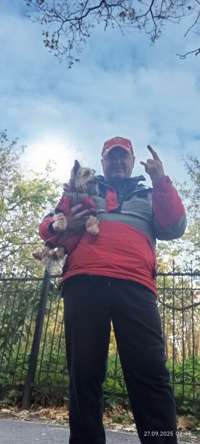 ���� 55196105 ������� ���������, 55 ���, ���� ���������� � ��������