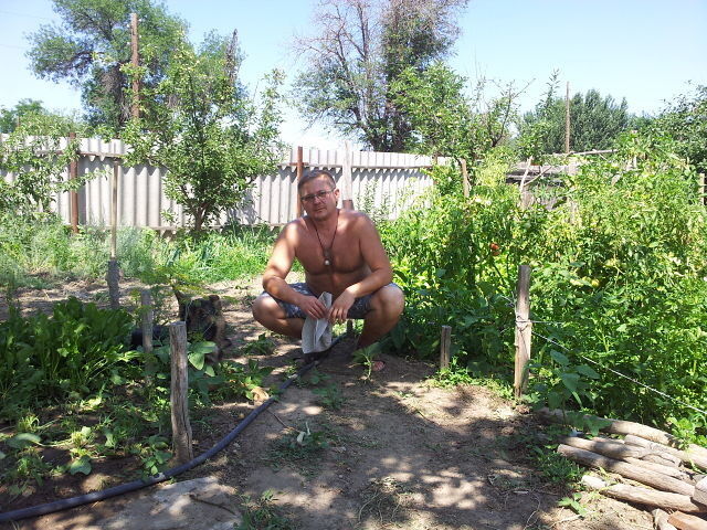 ���� 5162665 ������� �������, 55 ���, ���� ���������� � ������