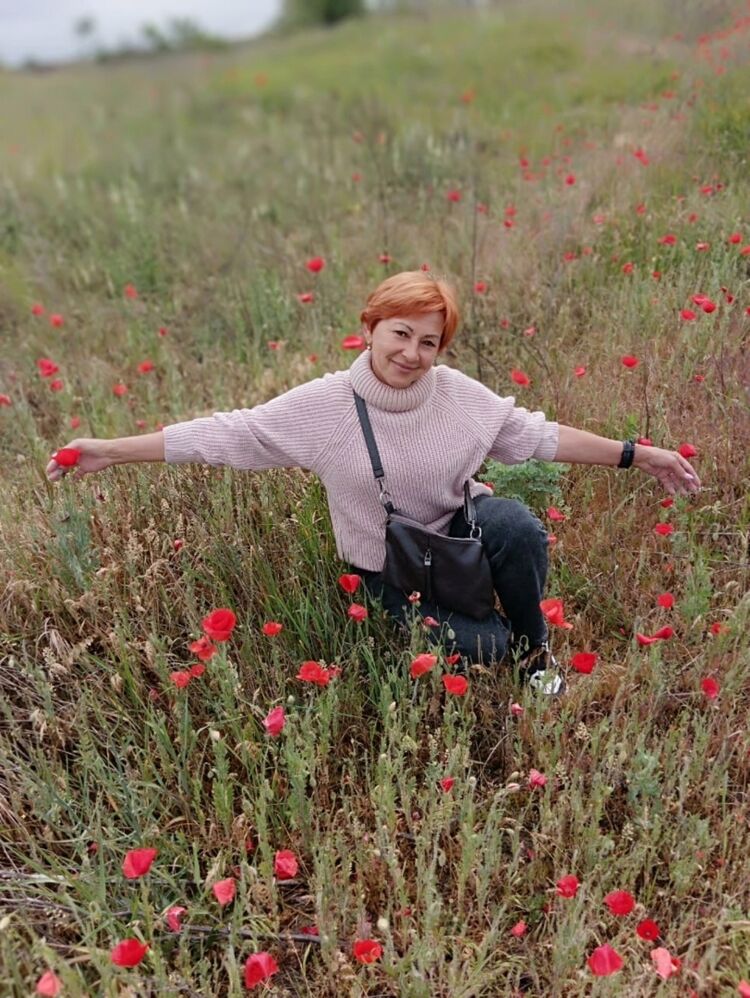  54591055  , 50 ,    -