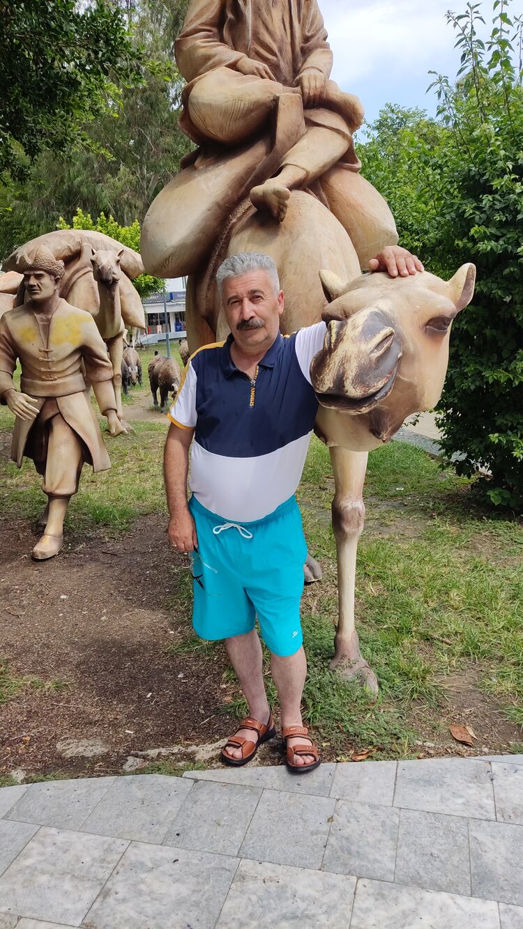  -,   , 55 ,   ,   