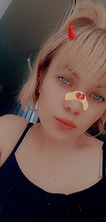  47766105  , 24 ,    