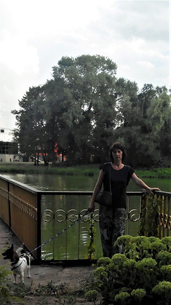  ,   , 54 ,  