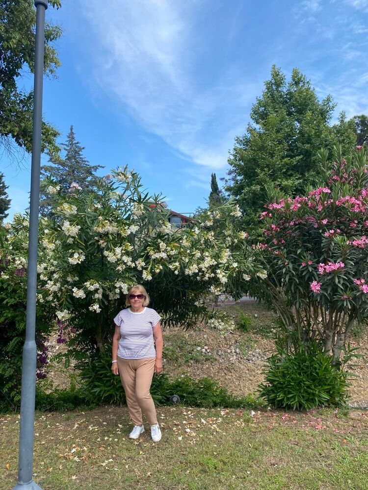 ���������� ���������, ���� ������� �������, 65 ���, ������������ ��� ������, ����� � ���������