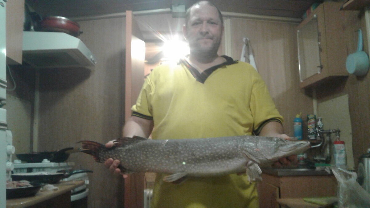 ���������� ������, ���� ������� ����, 54 ����, ������������ ��� ������, ����� � ���������, c�������� ���������