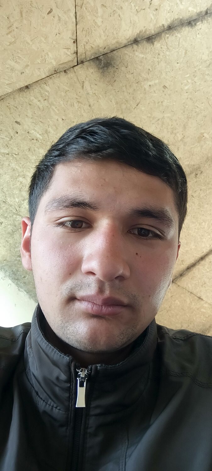  50961775  , 24 ,    