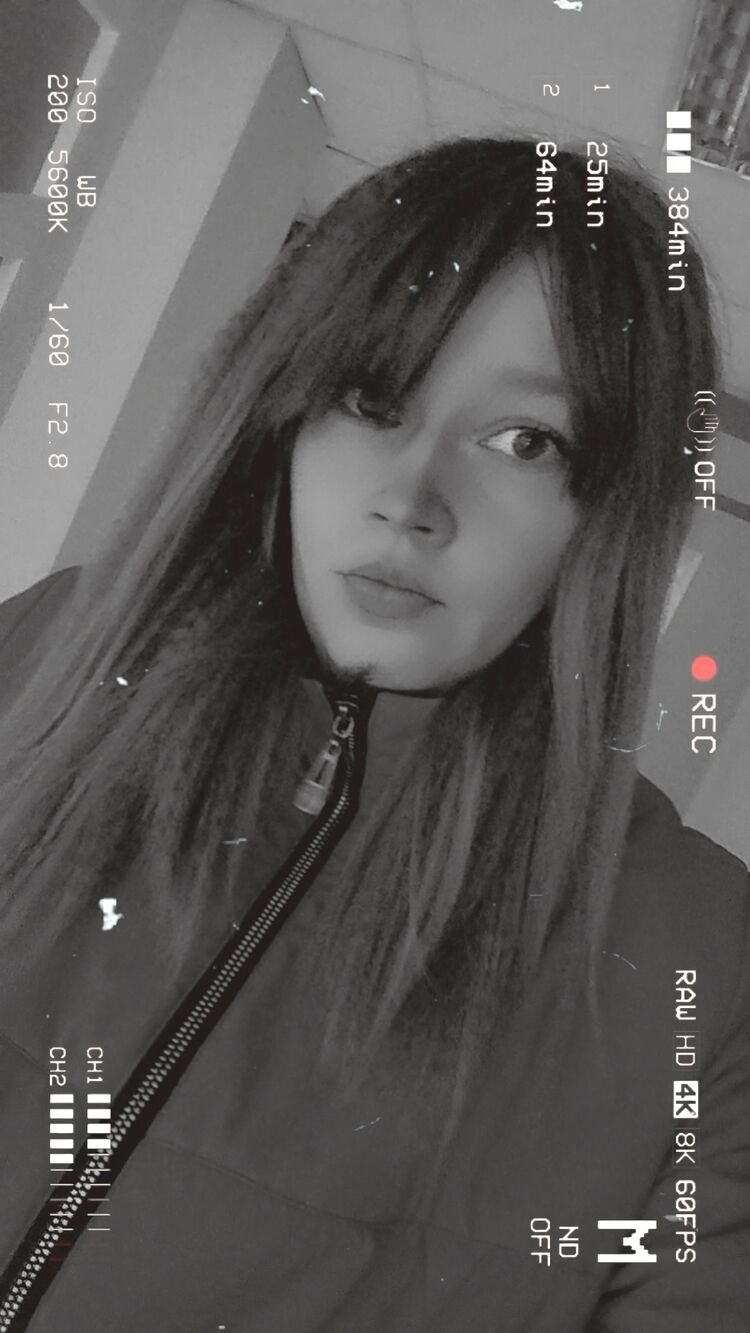  49677855  , 21 ,    
