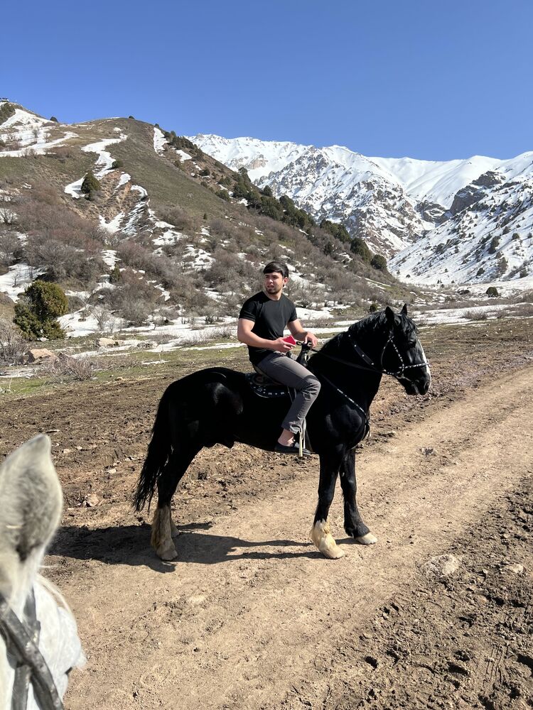 ���� 25877715 ������� ������, 31 ���, ���� ���������� � ��������