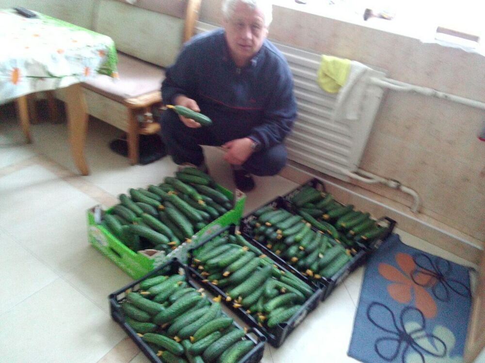 ���� 9795705 ������� ������, 66 ���, ���� ���������� � ��������