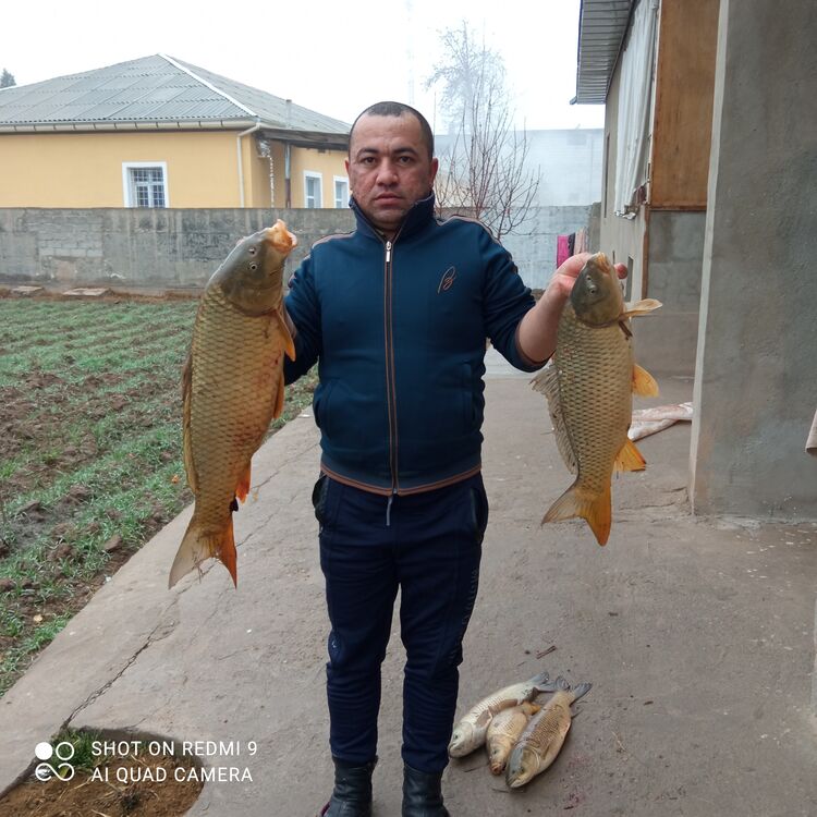 ���� 26602045 ������� ������, 37 ���, ���� ���������� � ����������