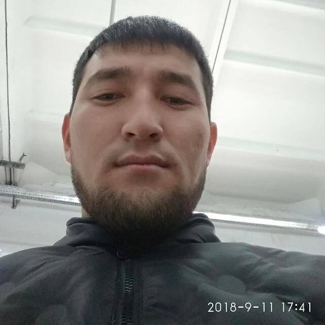  18228065  , 31 ,    