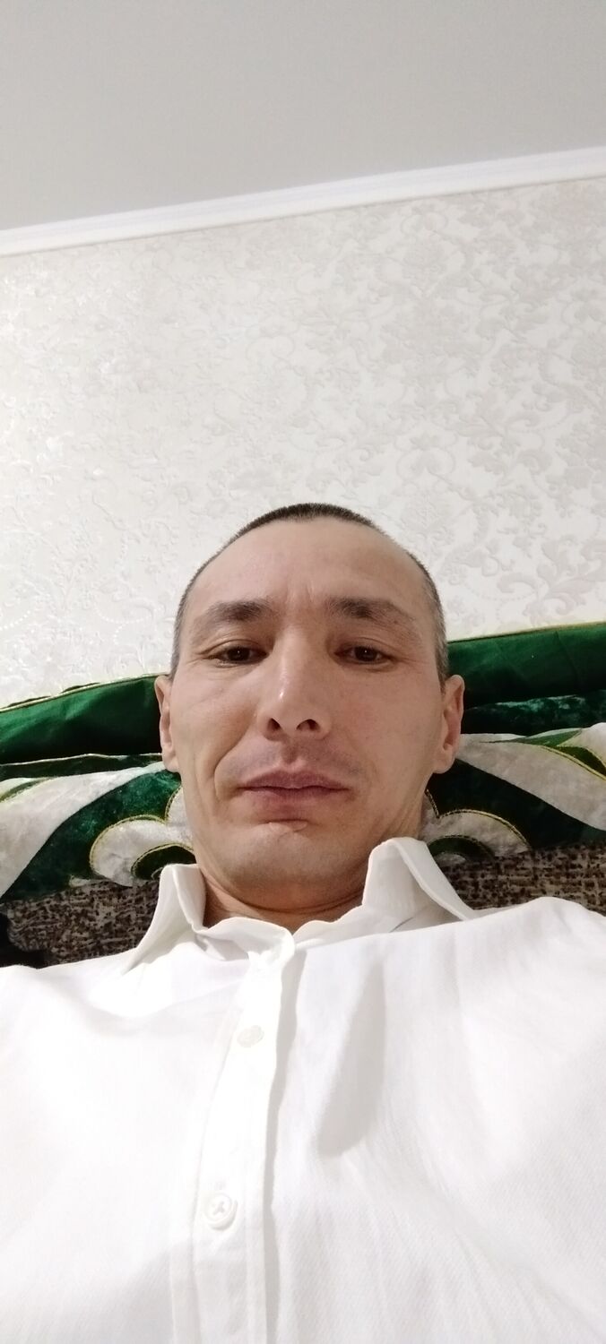  33855735  , 42 ,    