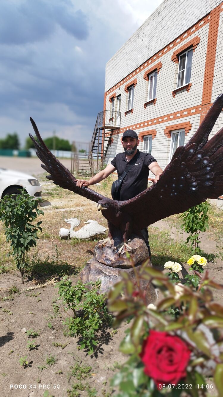 ���� 28536845 ������� ������, 44 ����, ���� ���������� � �����