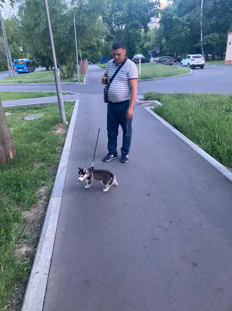 ���������� ������, ���� ������� ������, 45 ���, ������������ ��� ������, ����� � ���������