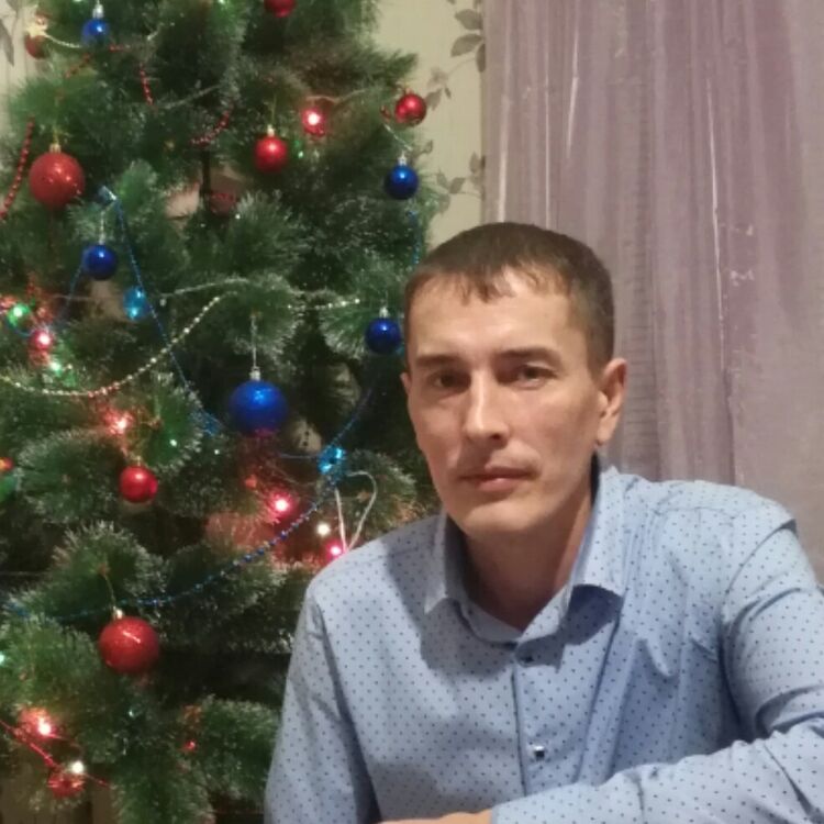 ���� 17736565 ������� �������, 44 ����, ���� ���������� � ��������