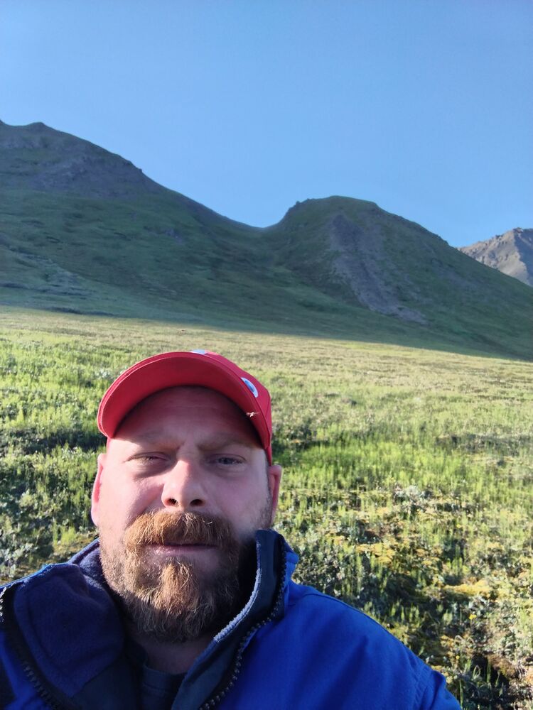  54283985  , 39 ,    -