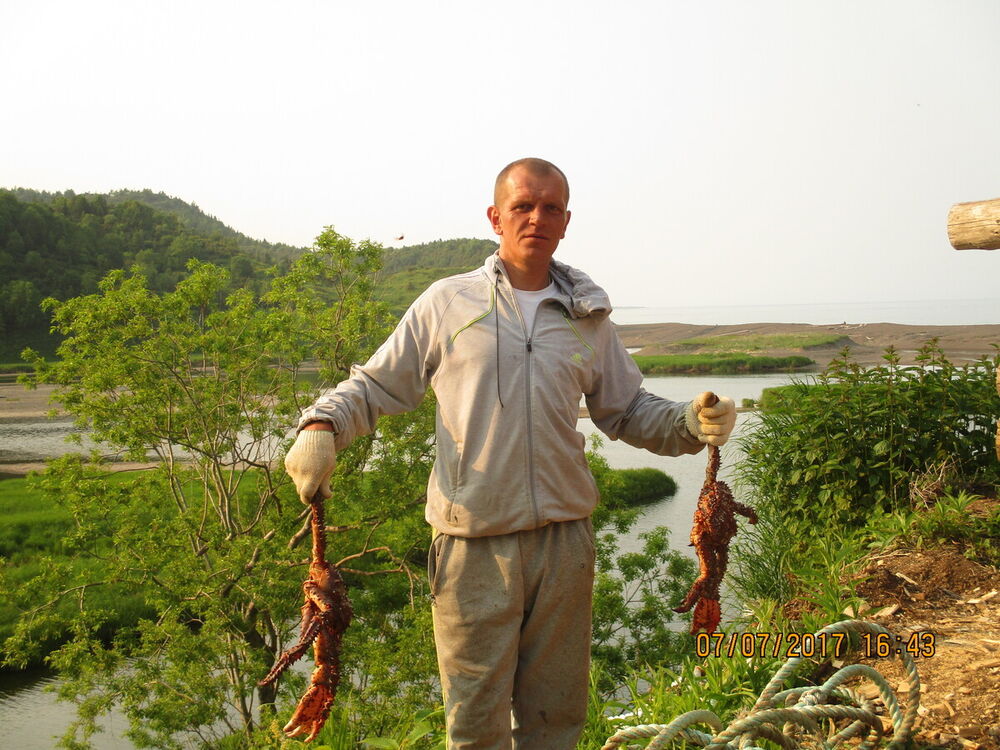 ���� 21474505 ������� Vasa, 46 ���, ���� ���������� � ��������