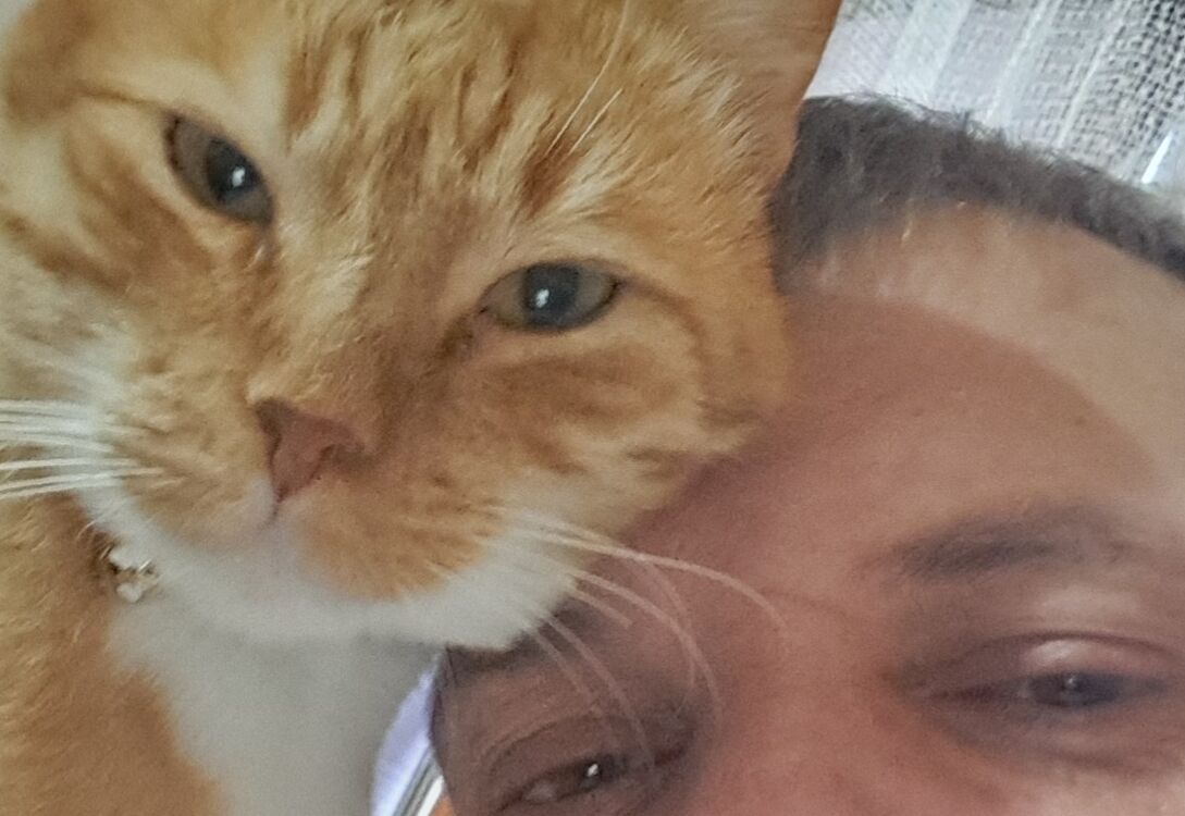 ���������� ���������, ���� ������� Don Vito, 43 ����, ������������ 