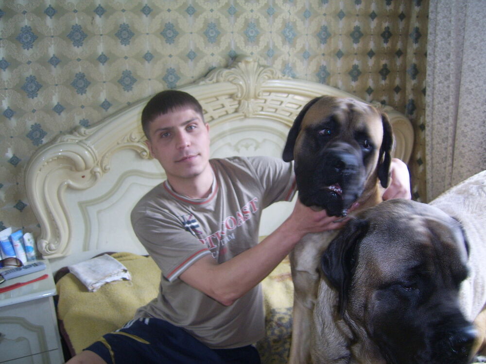 ���������� ���������, ���� ������� ����, 38 ���, ������������ ��� ������, ����� � ���������, c�������� ���������