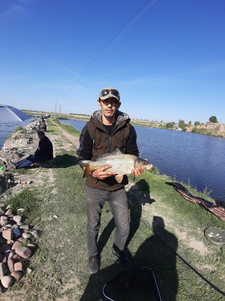  ,   , 43 ,     , c 