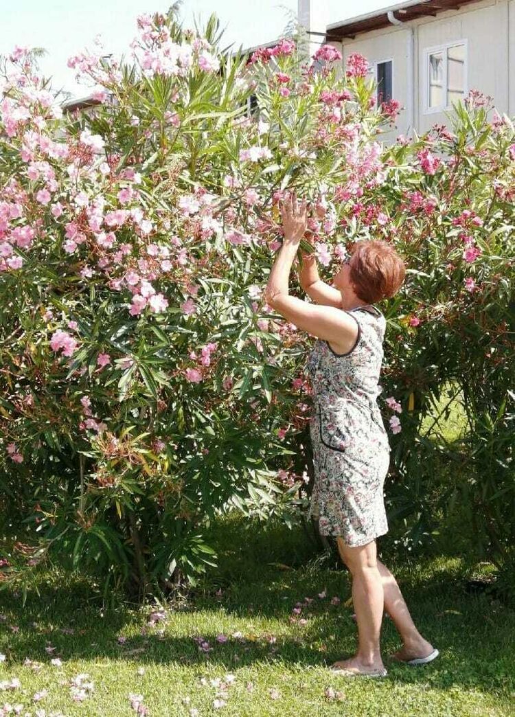  53647015  Valentina, 54 ,    