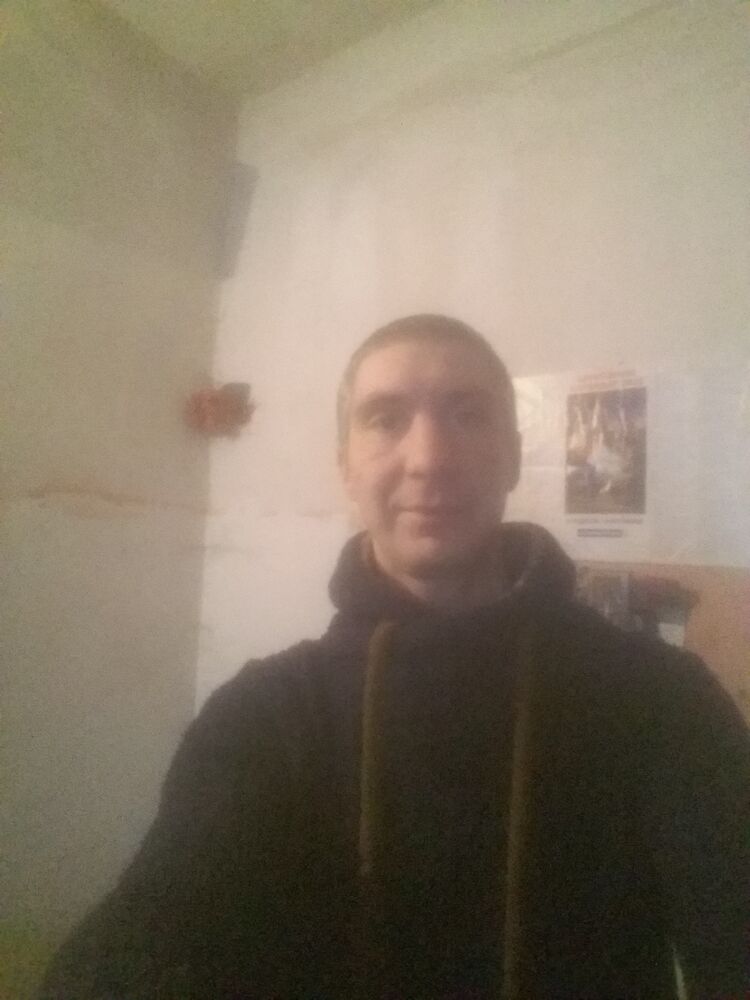  31911395  , 36 ,    -