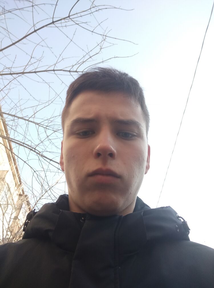  33857495  , 20 ,    
