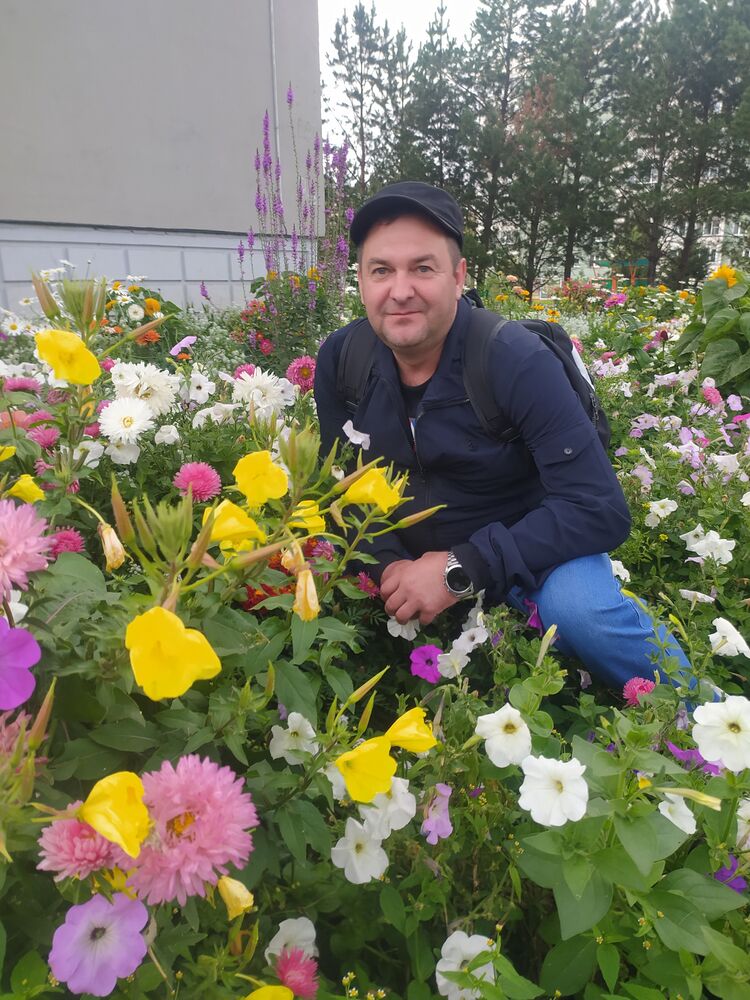 ���� 49600815 ������� ������, 50 ���, ���� ���������� � �������������