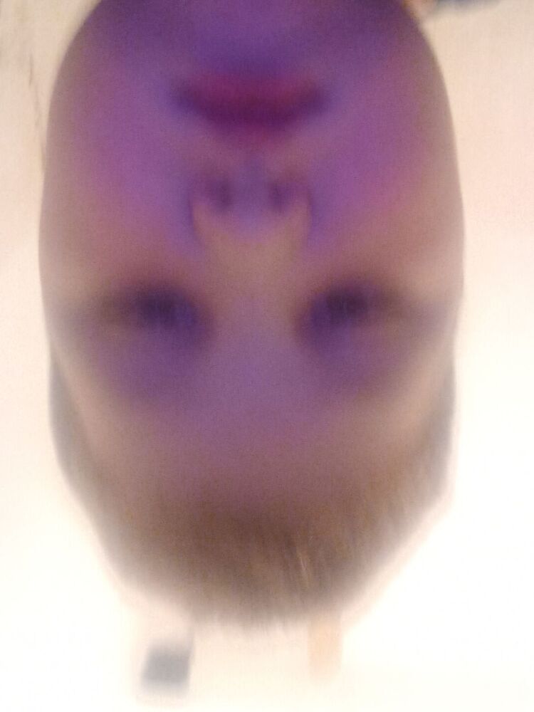 ���� 42427065 ������� ����, 26 ���, ���� ���������� � ��������