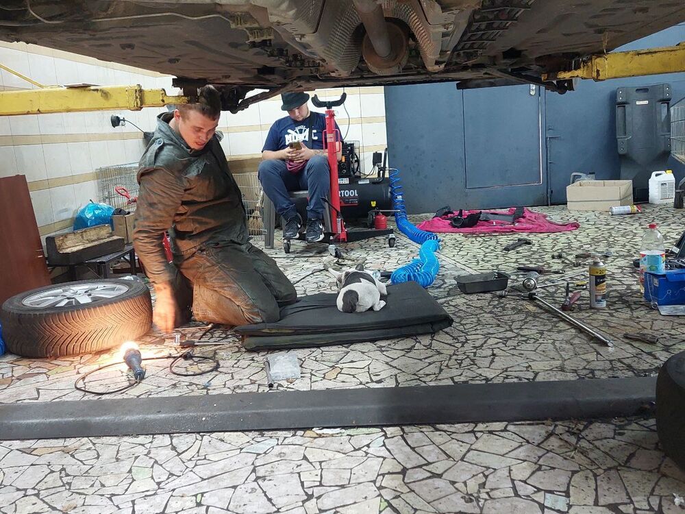 ���� 38567395 ������� Vadimvelikii, 30 ���, ���� ���������� � �����